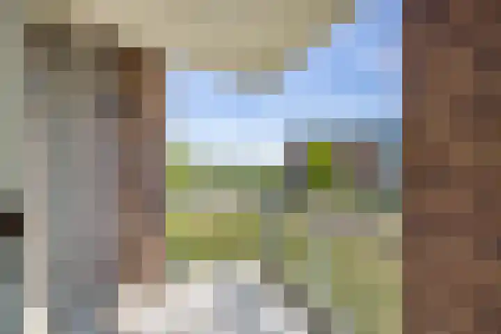 Zilvermos 37 Houten thumbnail 7
