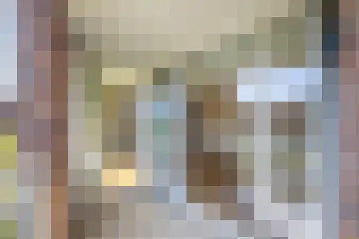 Zilvermos 37 Houten thumbnail 8