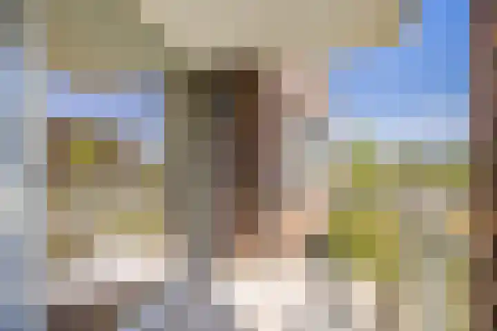 Zilvermos 37 Houten thumbnail 9