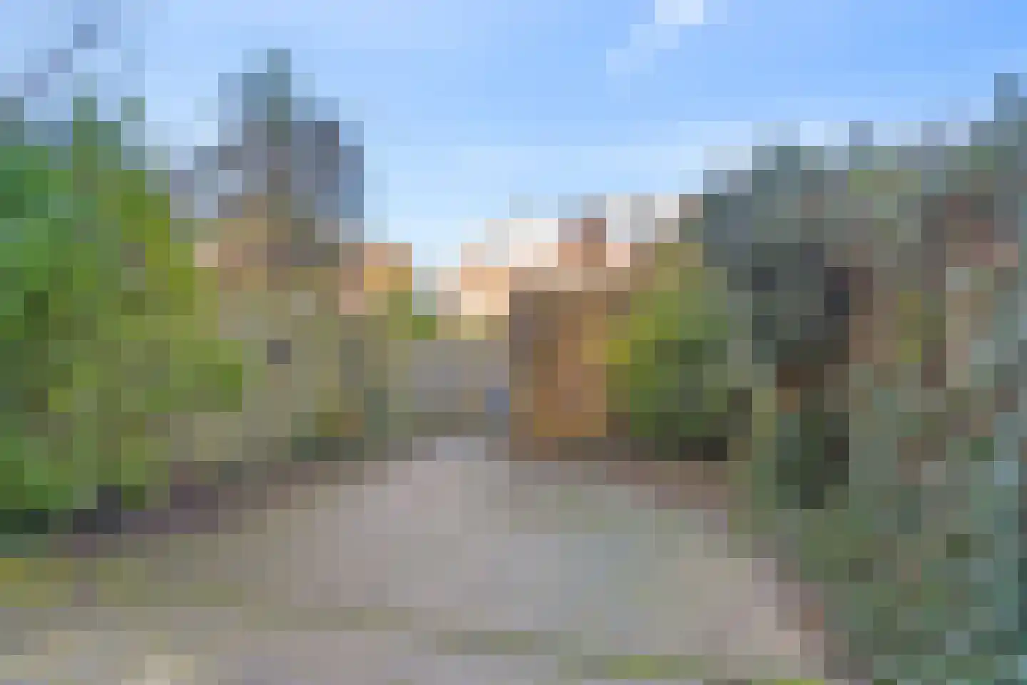Zilvermos 58 Houten thumbnail 10