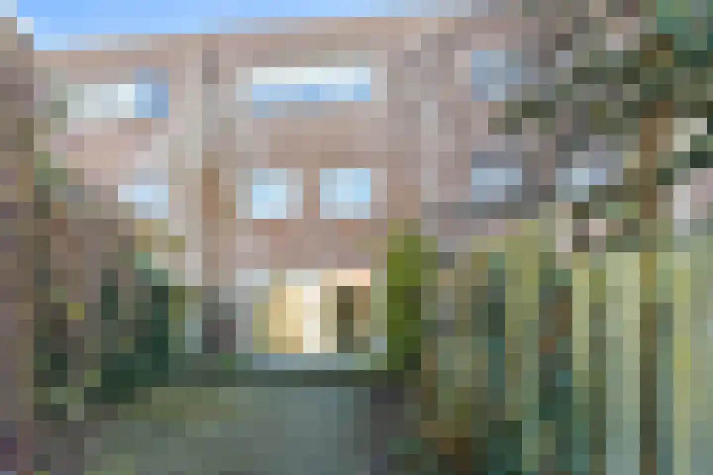 Zilvermos 58 Houten thumbnail 11