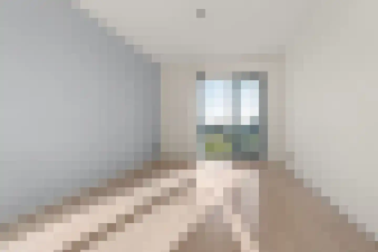 Zilvermos 58 Houten thumbnail 23
