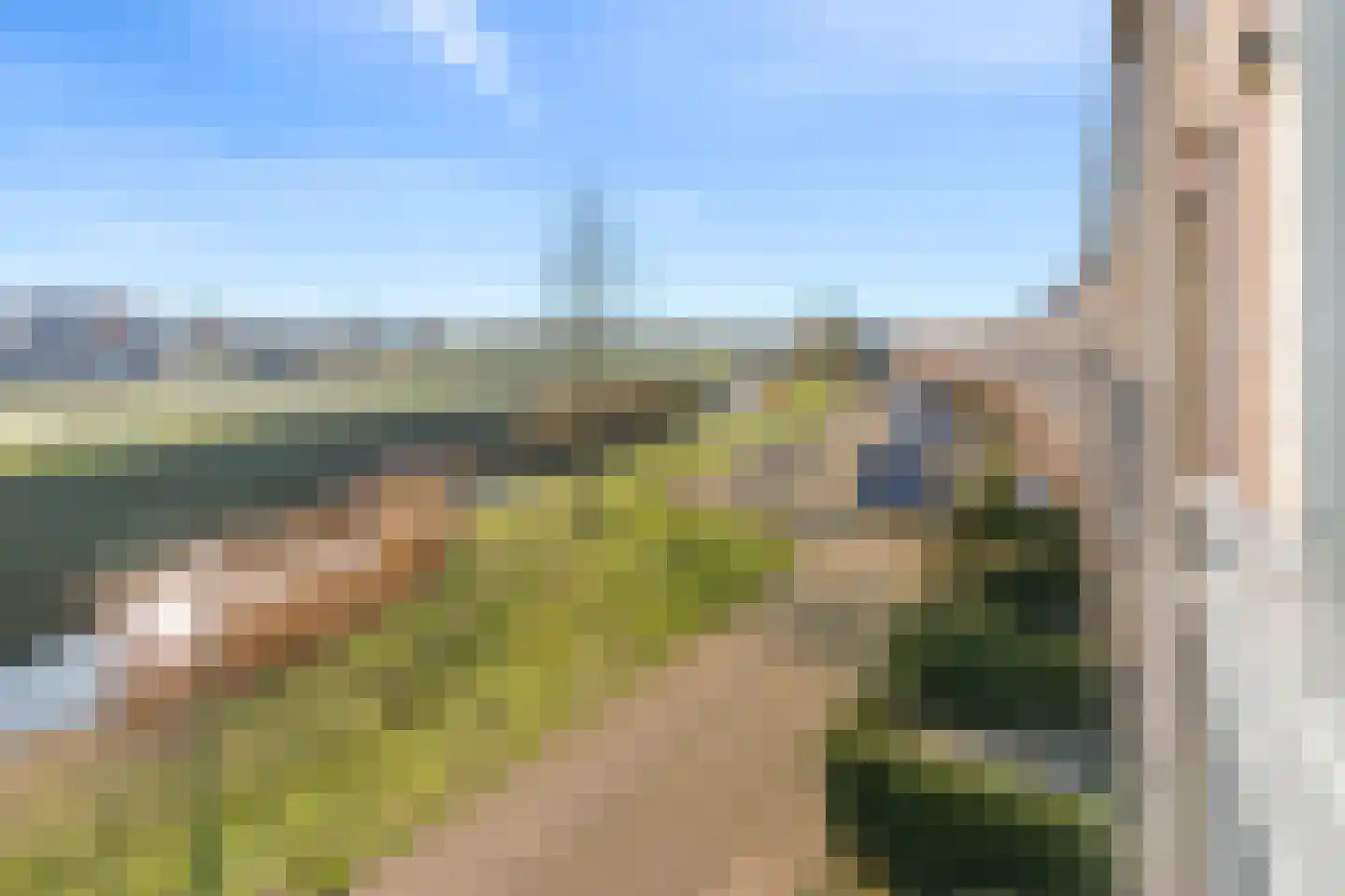 Zilvermos 58 Houten thumbnail 26
