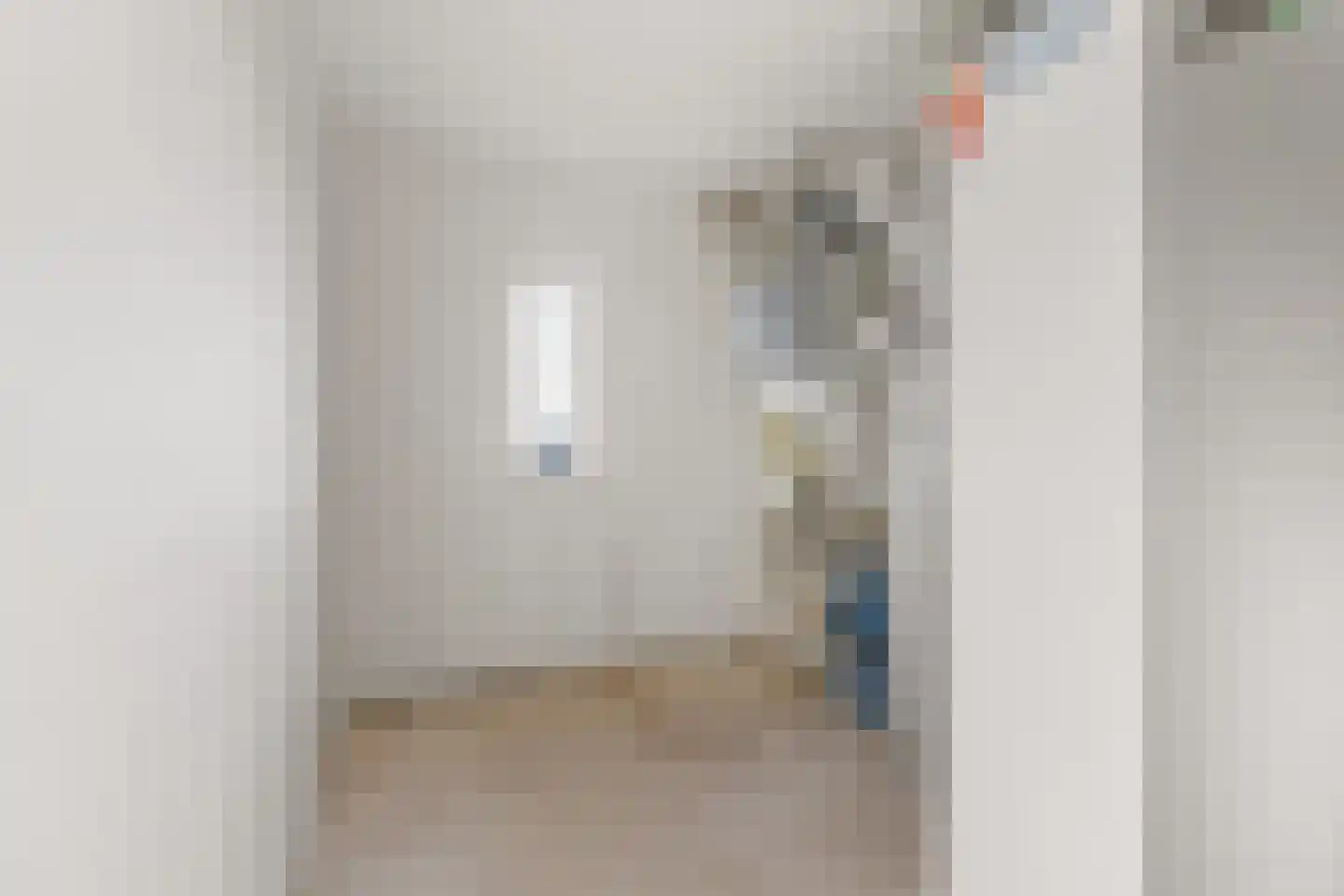 Zilvermos 58 Houten thumbnail 29