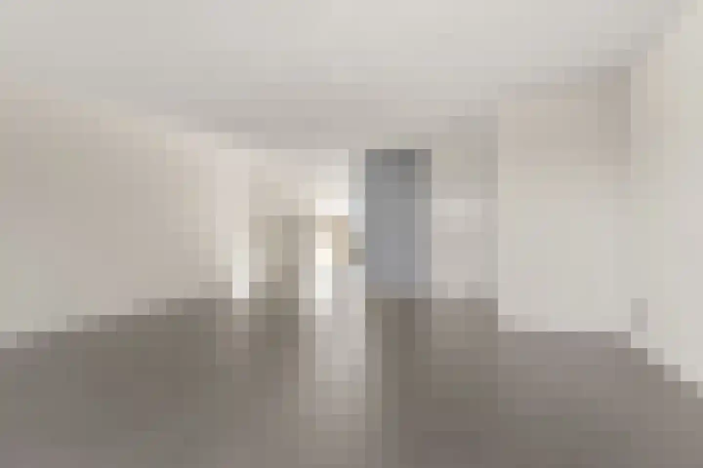 Zilvermos 58 Houten thumbnail 5