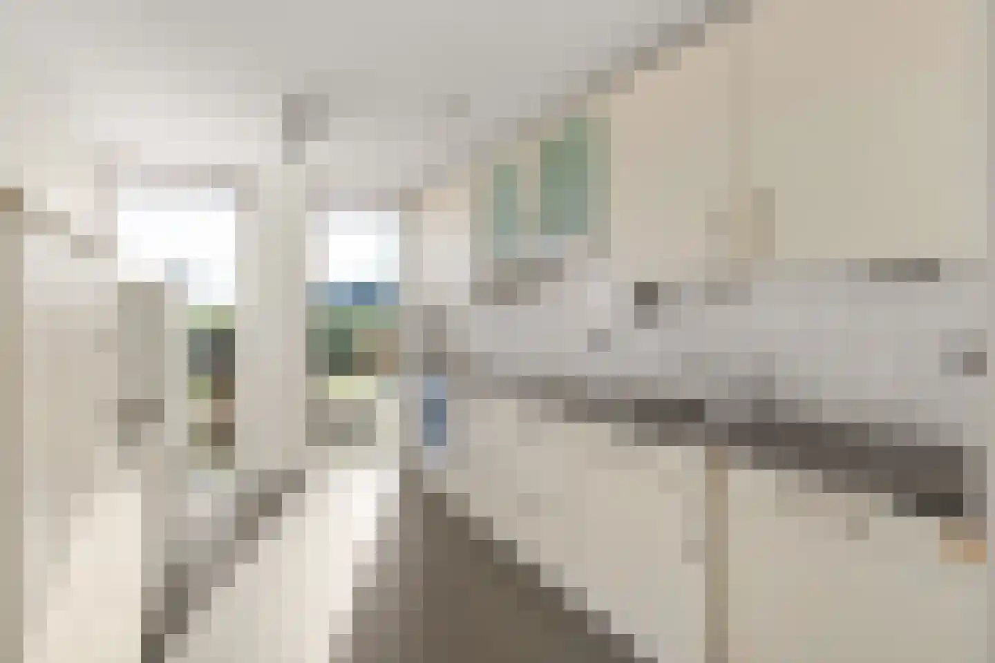 Zilvermos 58 Houten thumbnail 7