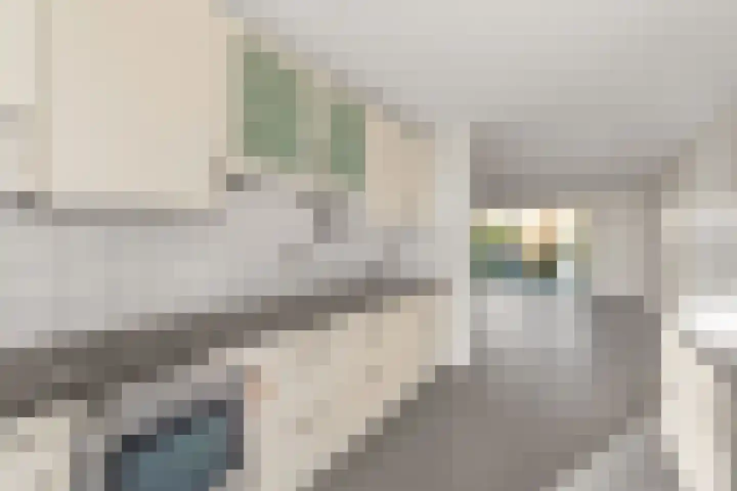 Zilvermos 58 Houten thumbnail 8