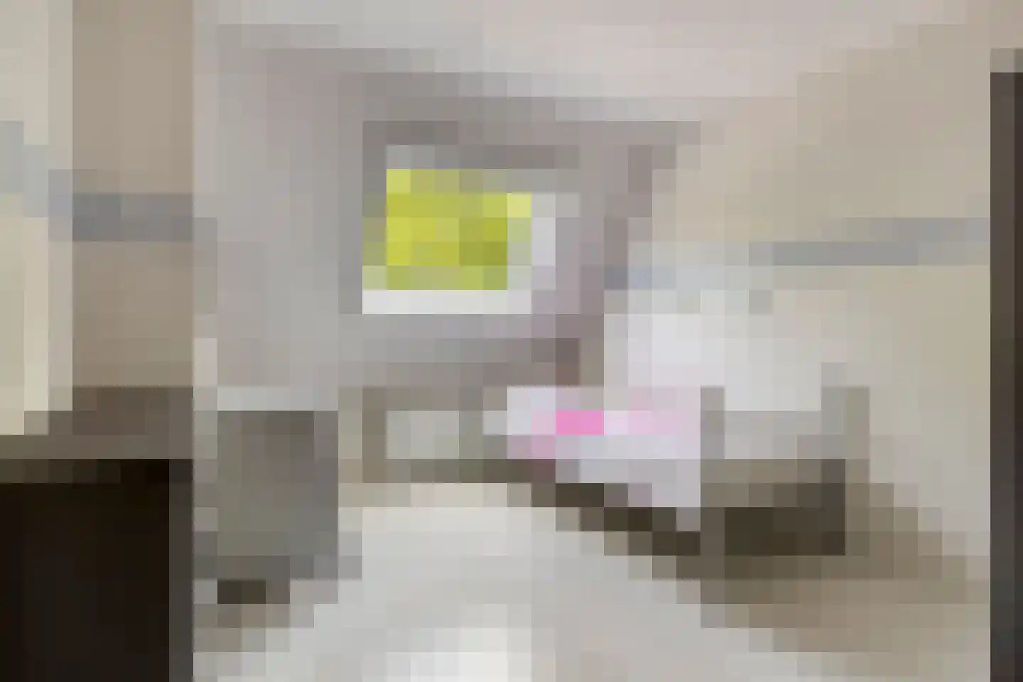 Zilvermosstraat 85 Almere thumbnail 28