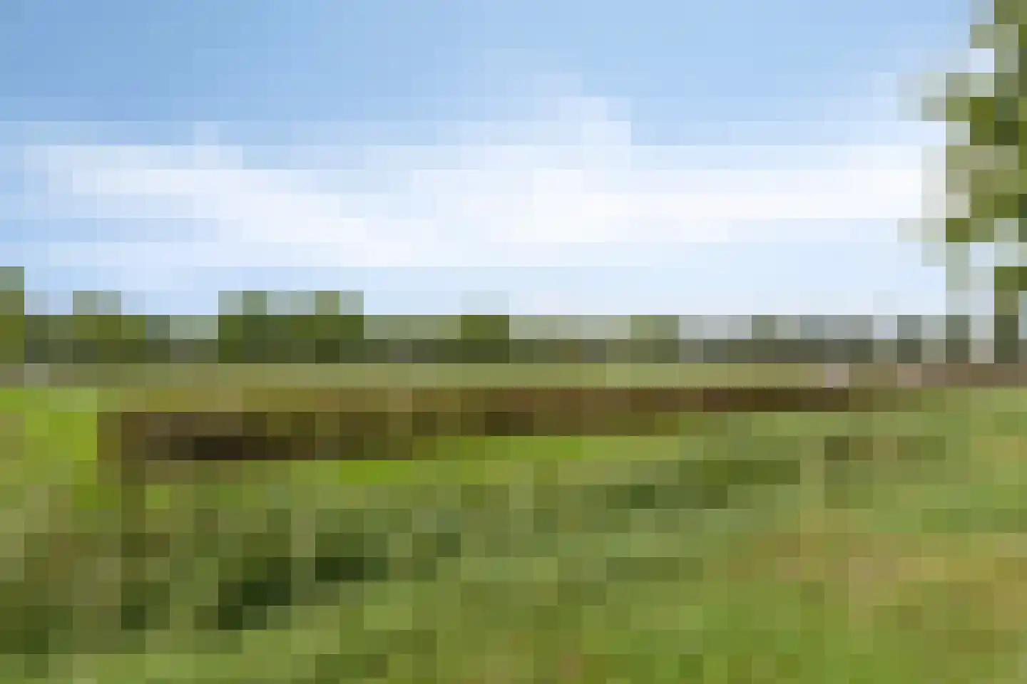 Zilvermosstraat 85 Almere thumbnail 48
