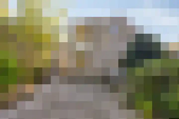 Zilverpark 12 's-Hertogenbosch thumbnail 26