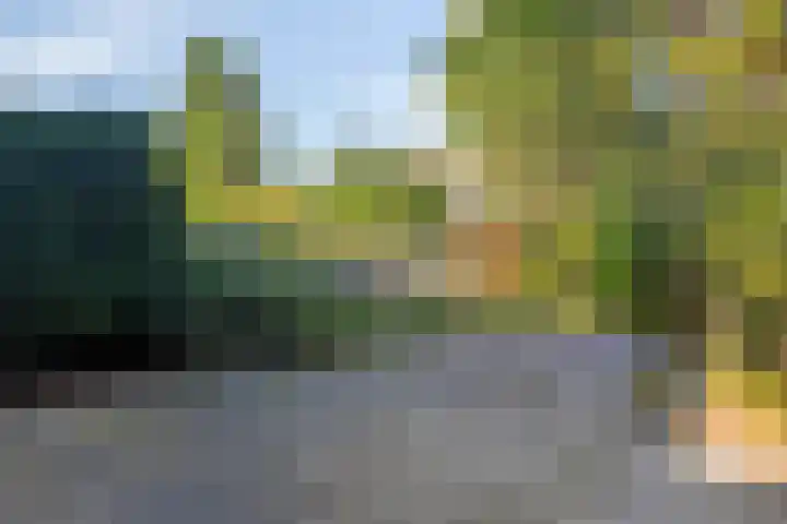 Zilverpark 12 's-Hertogenbosch thumbnail 28