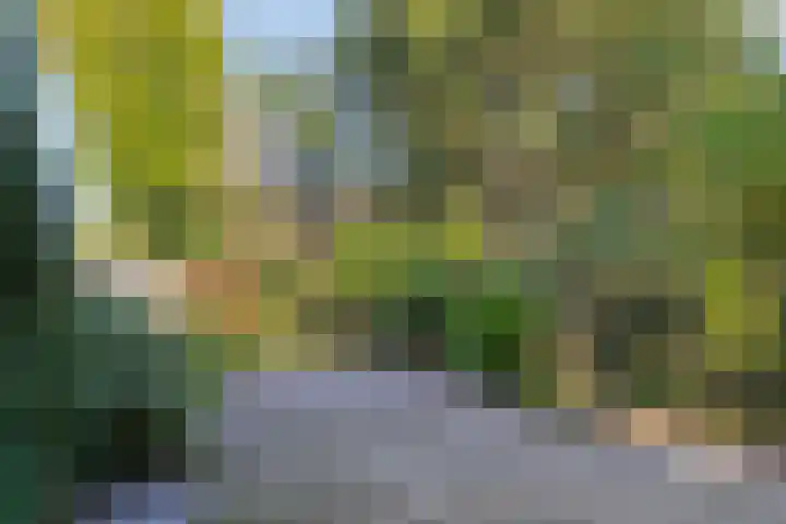 Zilverpark 12 's-Hertogenbosch thumbnail 29