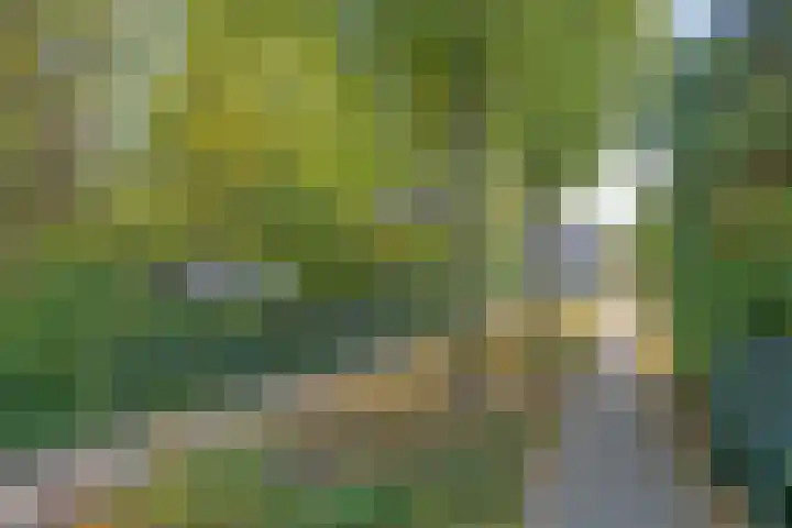 Zilverpark 12 's-Hertogenbosch thumbnail 30