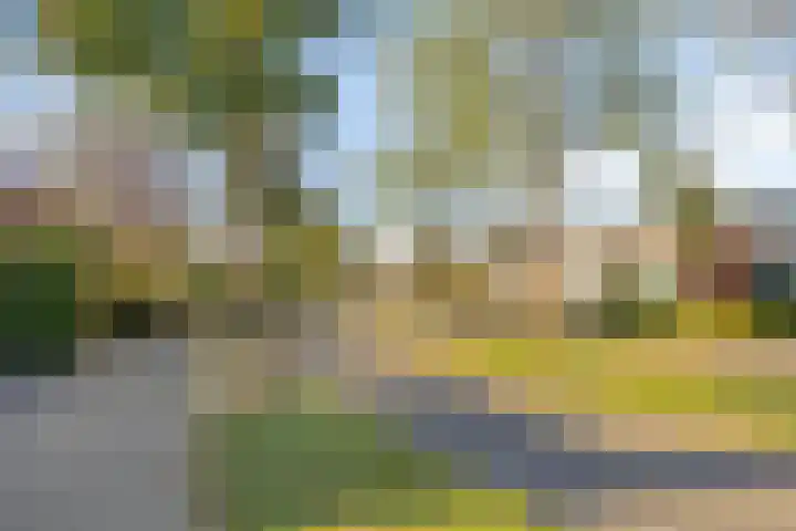 Zilverpark 12 's-Hertogenbosch thumbnail 32