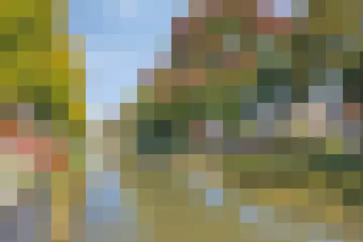 Zilverpark 12 's-Hertogenbosch thumbnail 33