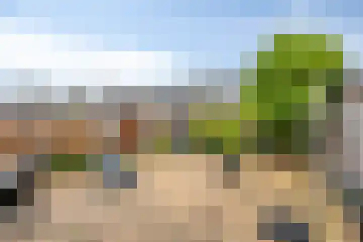 Zilverpark 154 's-Hertogenbosch thumbnail 32