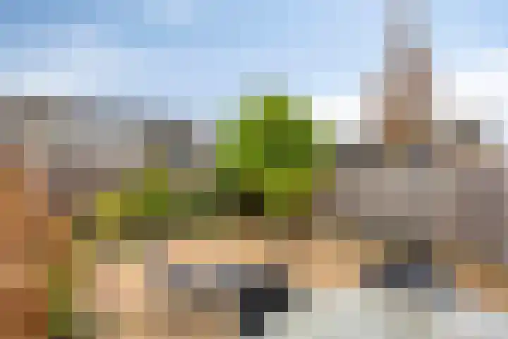 Zilverpark 154 's-Hertogenbosch thumbnail 33
