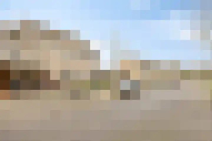 Zilverpark 154 's-Hertogenbosch thumbnail 34