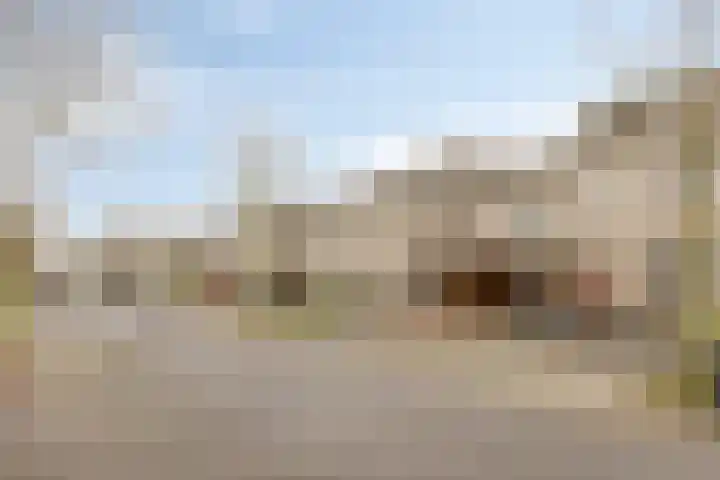 Zilverpark 154 's-Hertogenbosch thumbnail 35