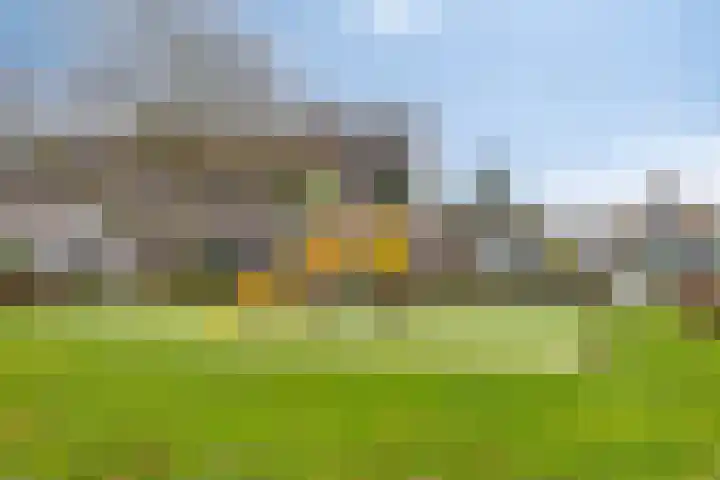 Zilverpark 154 's-Hertogenbosch thumbnail 36