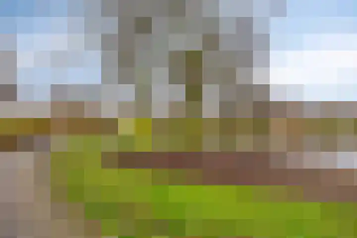 Zilverpark 154 's-Hertogenbosch thumbnail 37