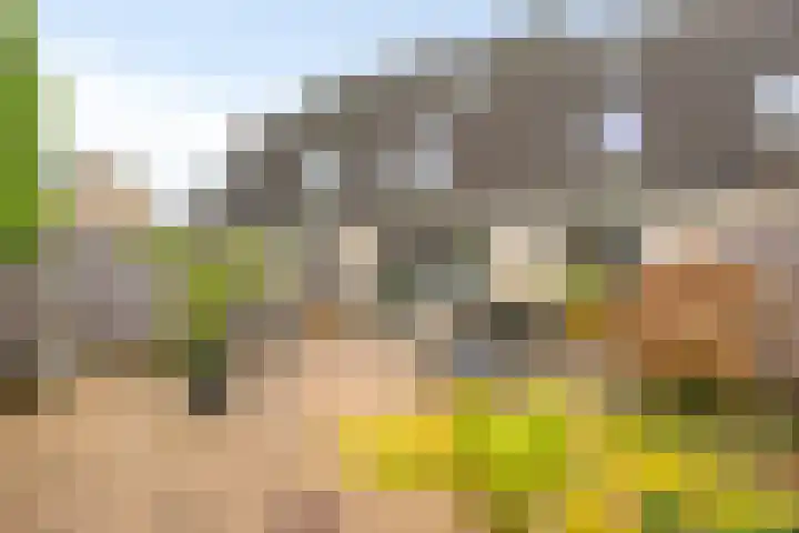 Zilverpark 154 's-Hertogenbosch thumbnail 4