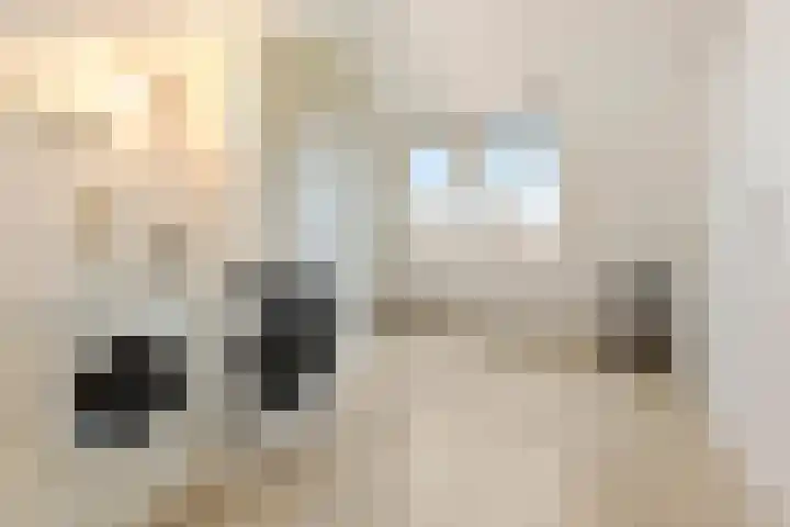 Zilverpark 157 's-Hertogenbosch thumbnail 35