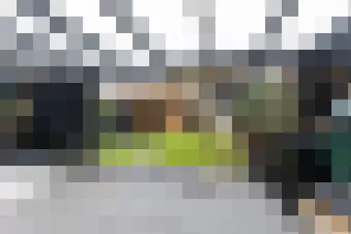 Zilverpark 157 's-Hertogenbosch thumbnail 36