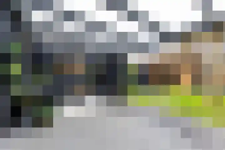 Zilverpark 157 's-Hertogenbosch thumbnail 37