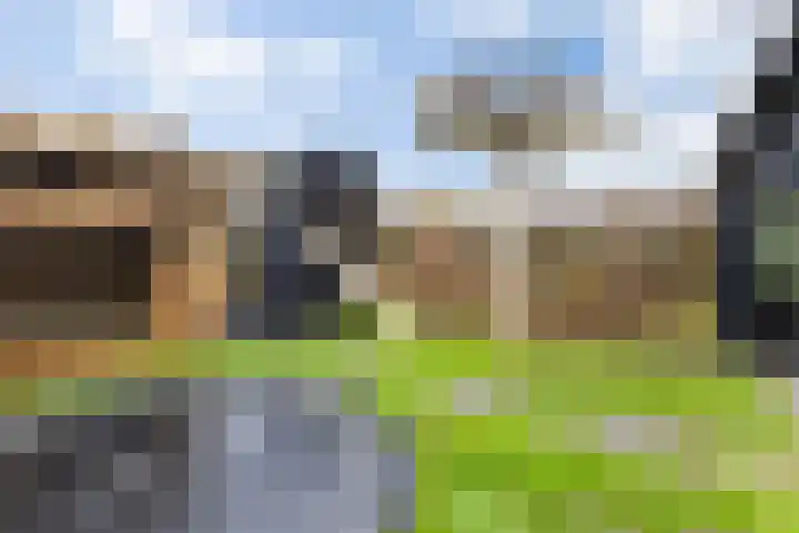 Zilverpark 157 's-Hertogenbosch thumbnail 39
