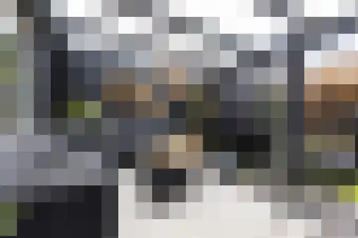 Zilverpark 157 's-Hertogenbosch thumbnail 4