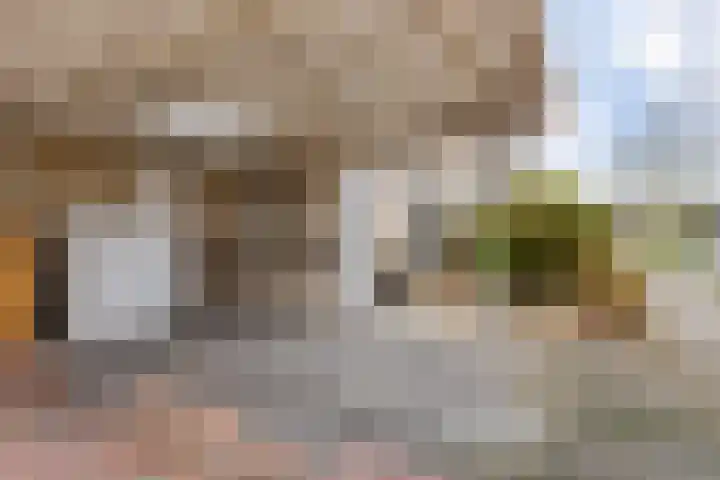 Zilverpark 157 's-Hertogenbosch thumbnail 41