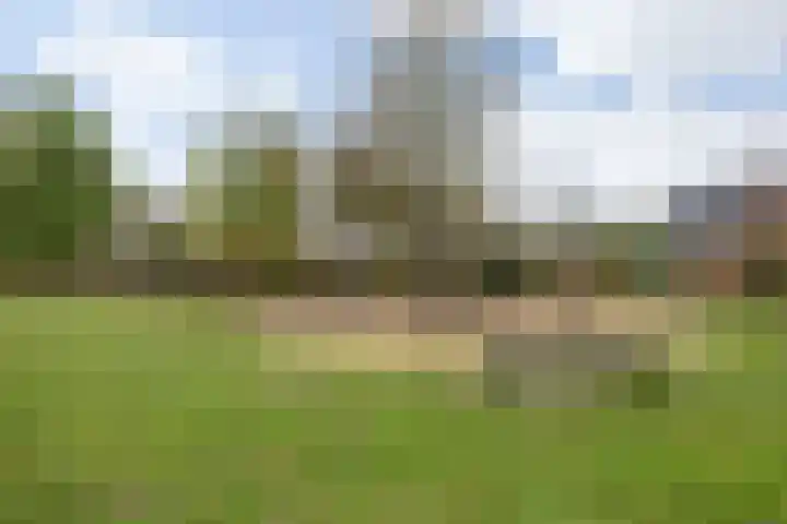 Zilverpark 157 's-Hertogenbosch thumbnail 42