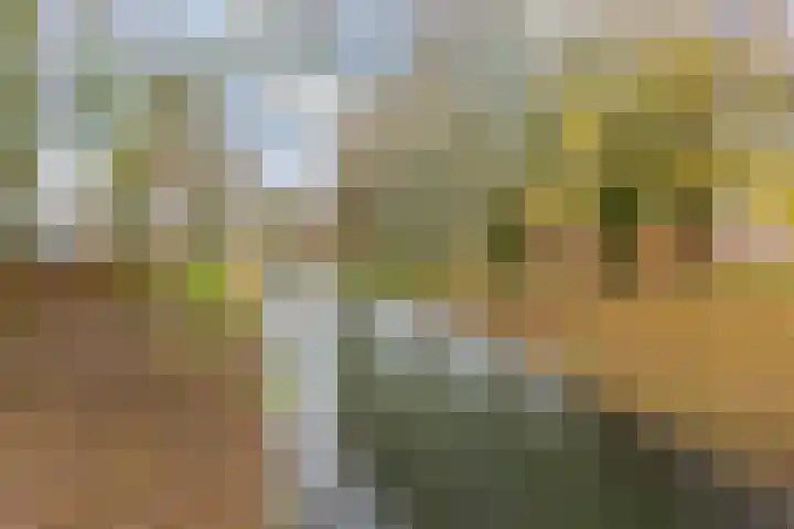 Zilverpark 157 's-Hertogenbosch thumbnail 43