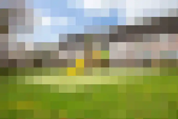 Zilverpark 157 's-Hertogenbosch thumbnail 44