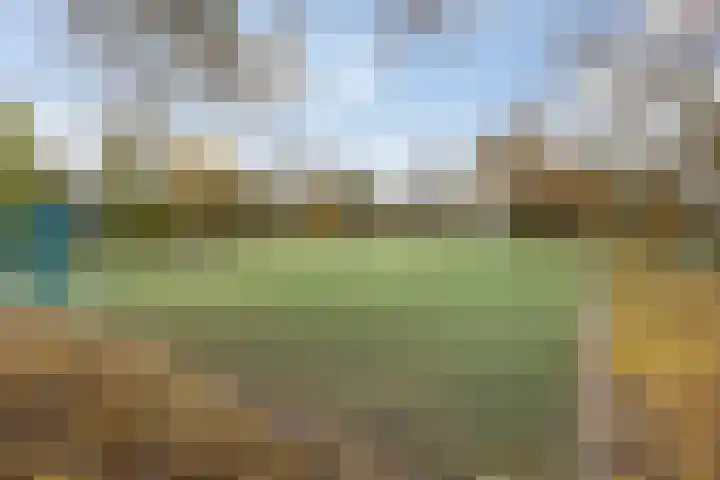 Zilverpark 157 's-Hertogenbosch thumbnail 45
