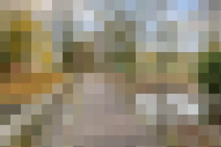 Zilverpark 157 's-Hertogenbosch thumbnail 46