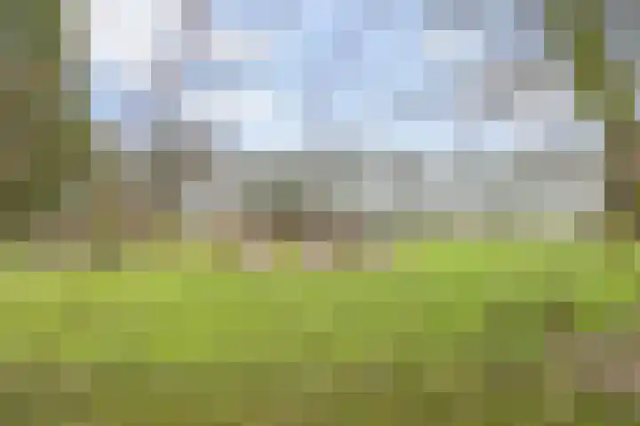 Zilverpark 157 's-Hertogenbosch thumbnail 47