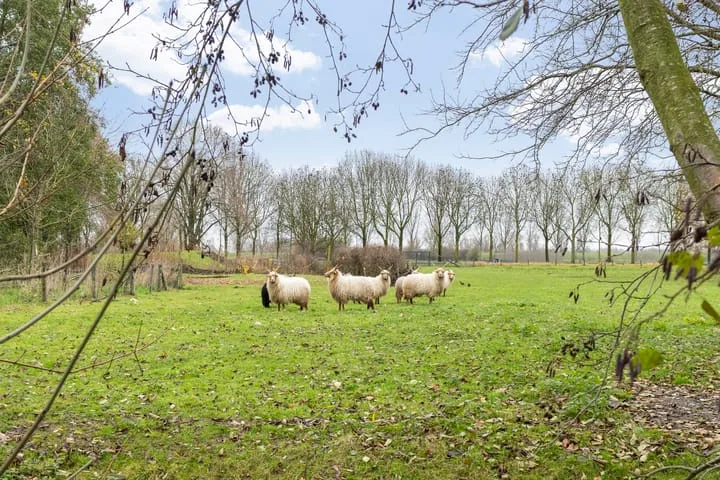 Zilverpark 157 's-Hertogenbosch thumbnail 47