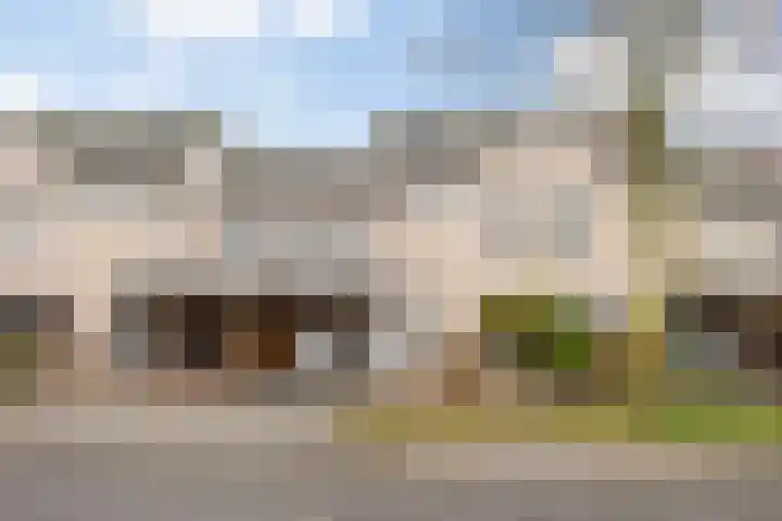 Zilverpark 157 's-Hertogenbosch thumbnail 5