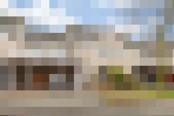 Zilverpark 157 's-Hertogenbosch thumbnail 50