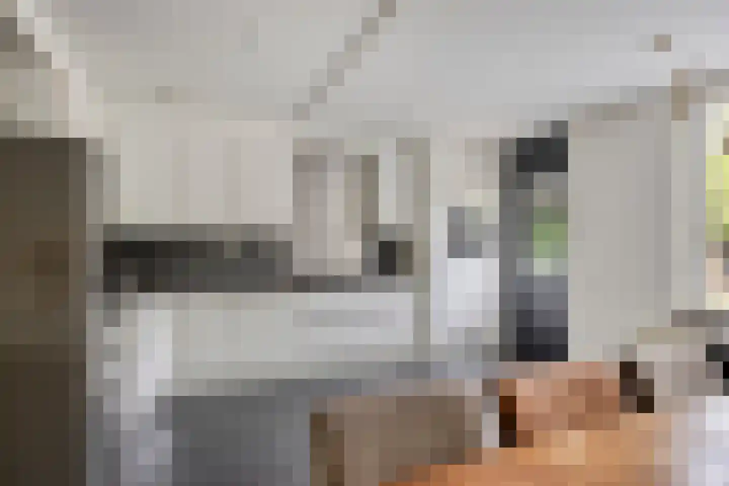 Zilverpark 165 's-Hertogenbosch thumbnail 12