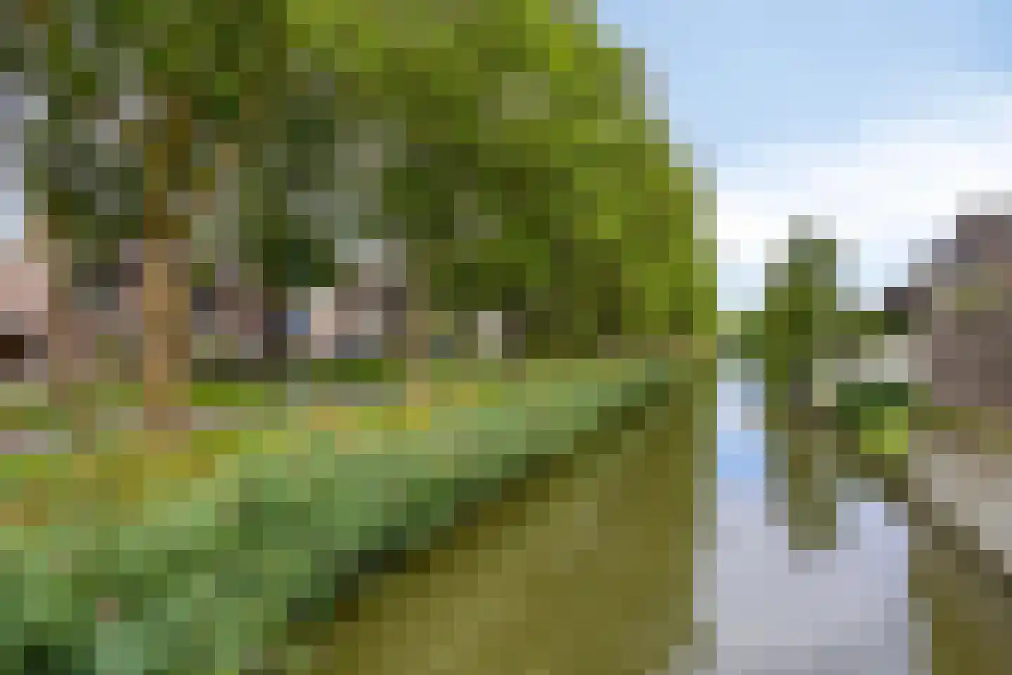 Zilverpark 165 's-Hertogenbosch thumbnail 48