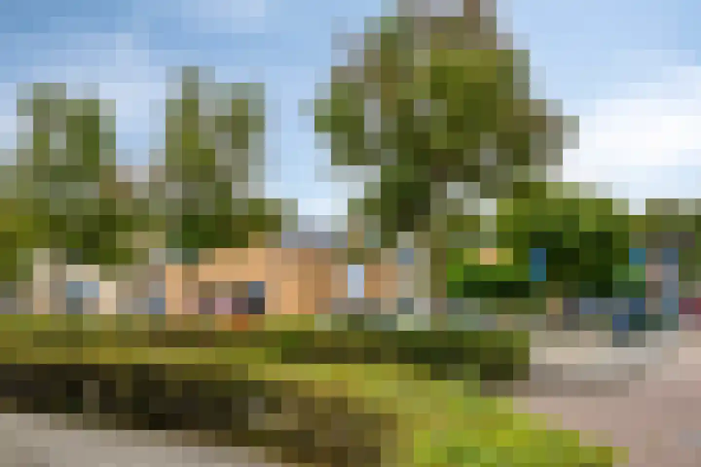 Zilverpark 165 's-Hertogenbosch thumbnail 52