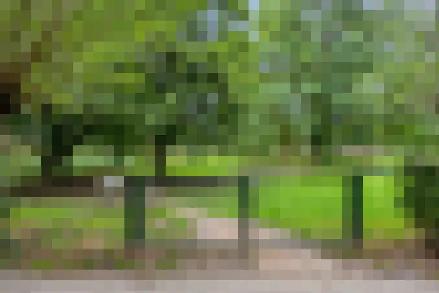 Zilverpark 165 's-Hertogenbosch thumbnail 53