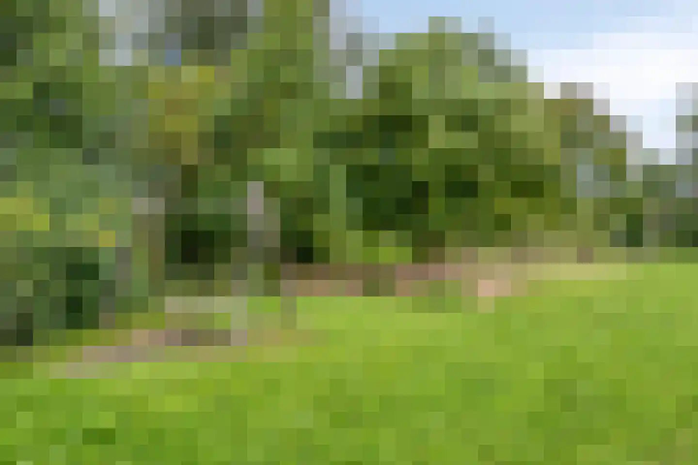 Zilverpark 165 's-Hertogenbosch thumbnail 54