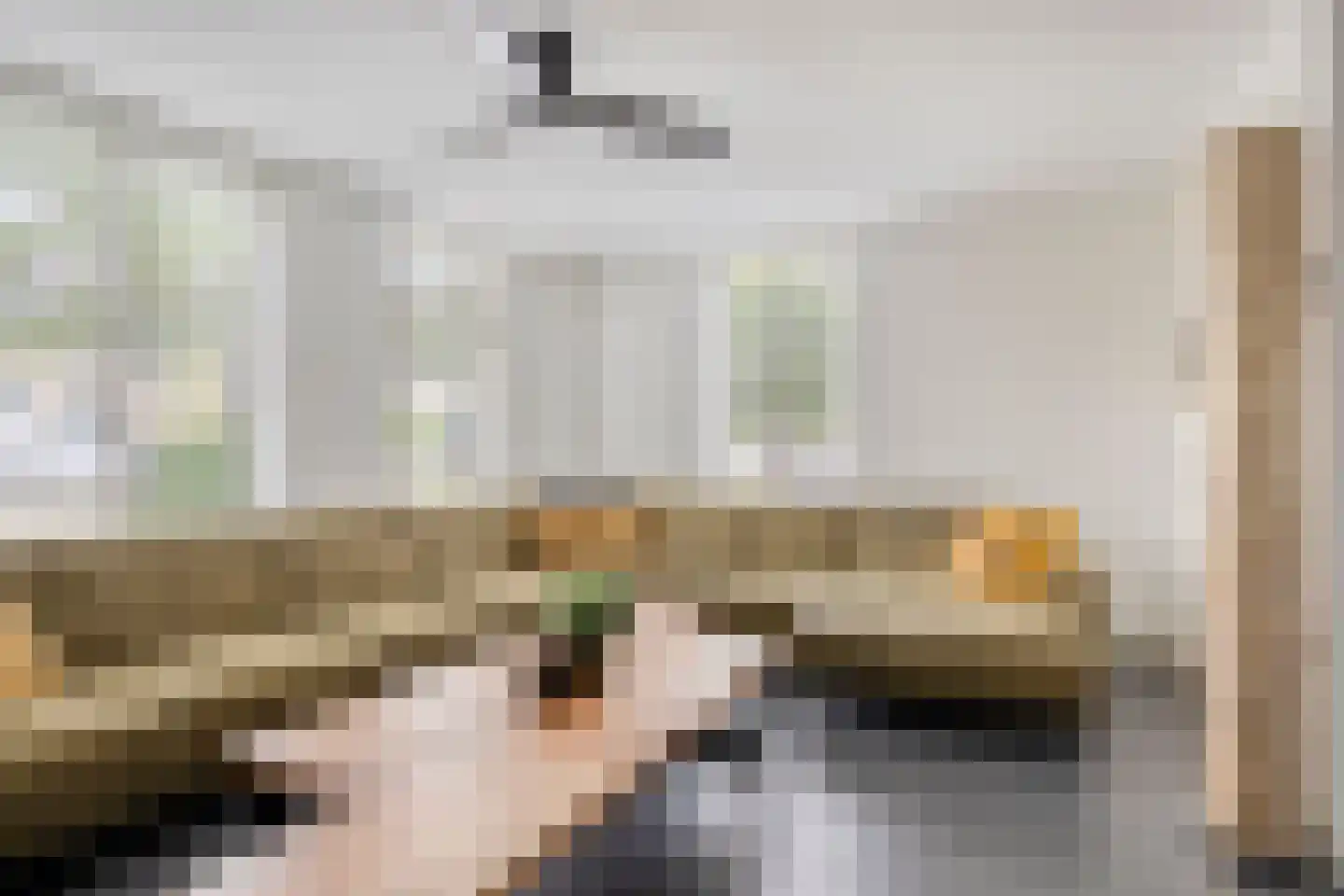 Zilverpark 165 's-Hertogenbosch thumbnail 7