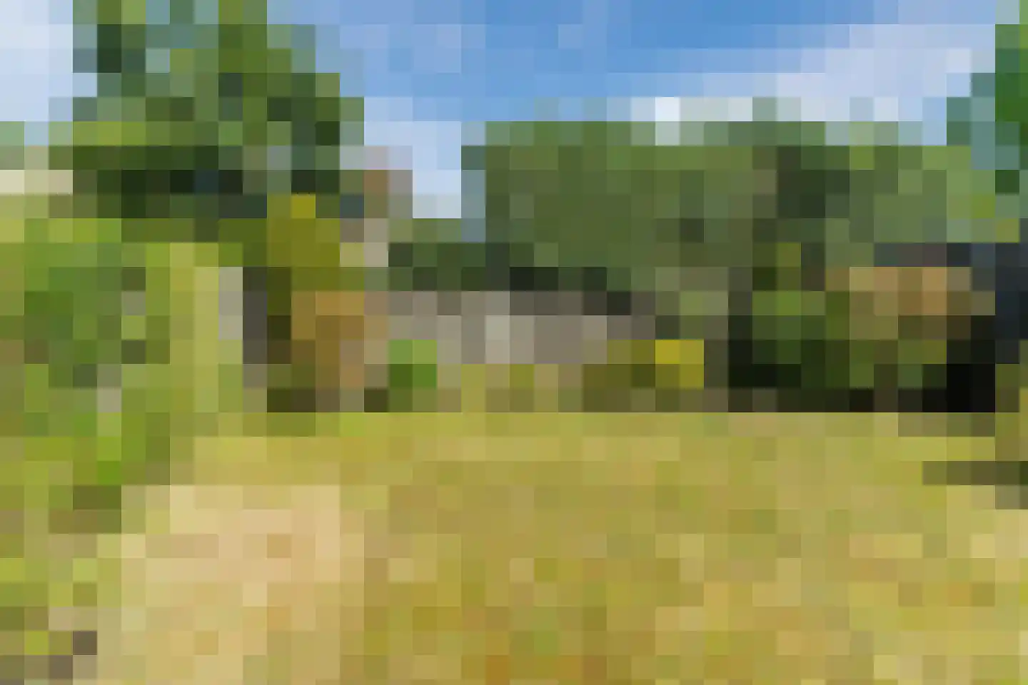 Zilverpark 171 's-Hertogenbosch thumbnail 27
