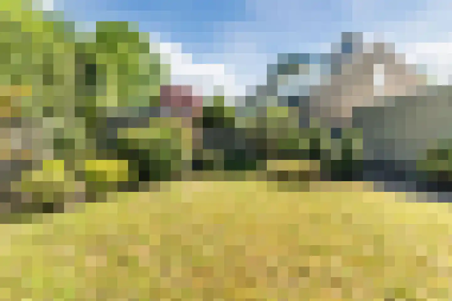 Zilverpark 171 's-Hertogenbosch thumbnail 28