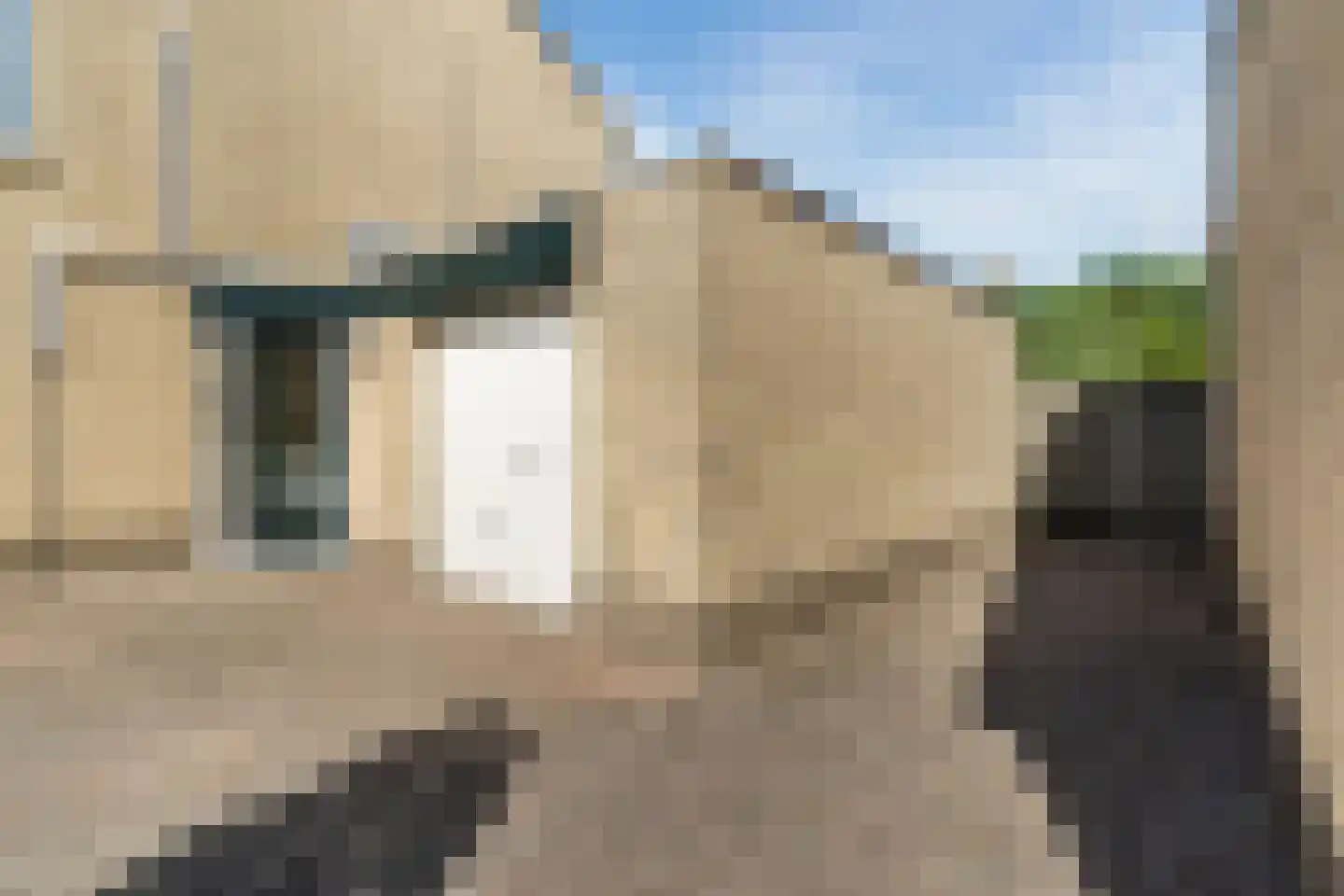 Zilverpark 171 's-Hertogenbosch thumbnail 31